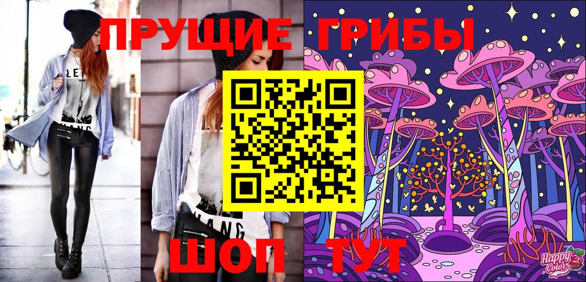 Галлюциногенные грибы Psilocybe  Вход с VPN  Ижевск 